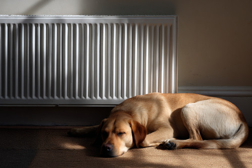 What is the air separator used for and how to install it?